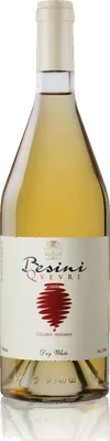 Qvevri Dry White